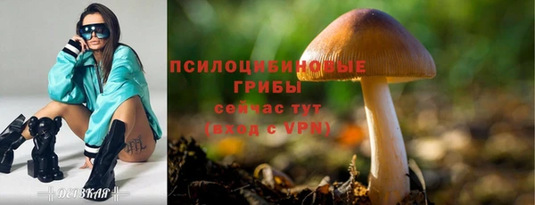 МДМА Белокуриха